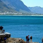 Hermanus – A whale of a time