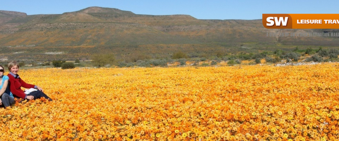 Top 5 must-visit spots during the Flower Season in South Africa.