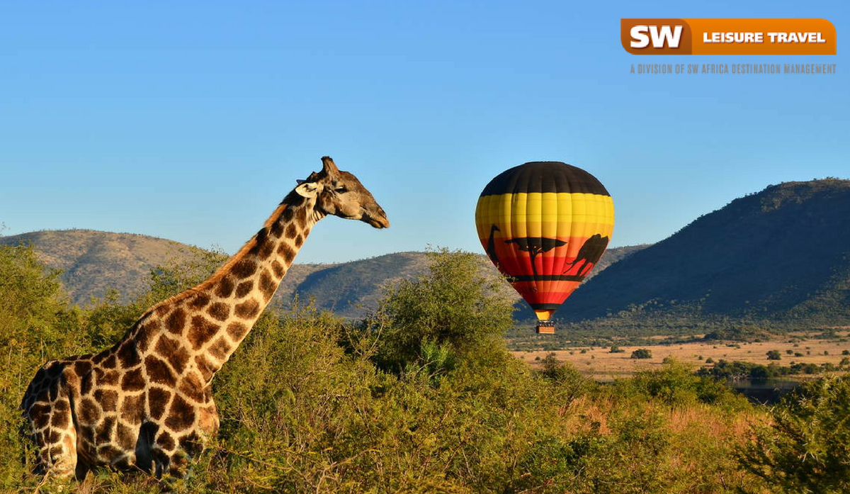 Southern Africa Travel